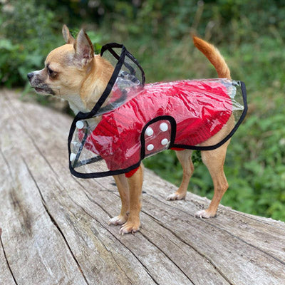 Small Dog Chihuahua Soft Red Cable Knit Puppy Jumper 5 SIZES