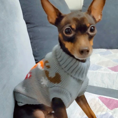 Reindeer Christmas Jumper Chihuahua or Small Dog