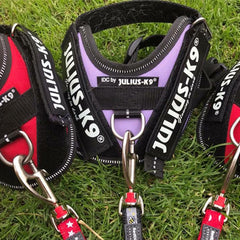 Julius K9 IDC Powerharness for Puppies and Chihuahuas Red - My Chi and Me