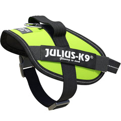 Julius K9 IDC Powerharness for Puppies and Chihuahuas UV Neon Green - My Chi and Me
