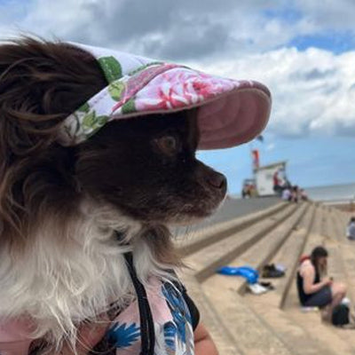 Floral Print Baseball Cap for Chihuahua Small Dog or Puppy
