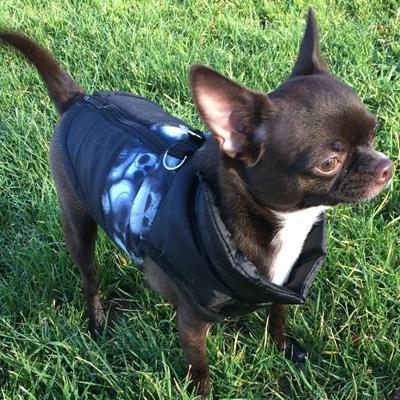Padded Small Dog Chihuahua Gilet Coat Black Skulls - My Chi and Me