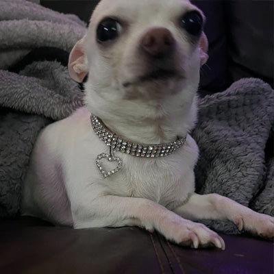 Verity Premium Bling Chihuahua Small Dog Necklace Faux Crystal Collar