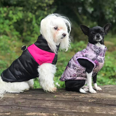 Gilet Style Small Dog Coat Black And Pink - My Chi and Me