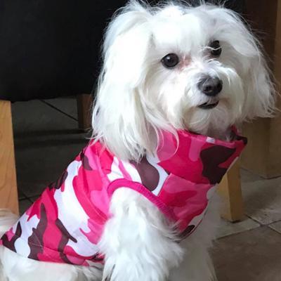 Chihuahua or Small Dog Coat Pink Camouflage Gilet - My Chi and Me