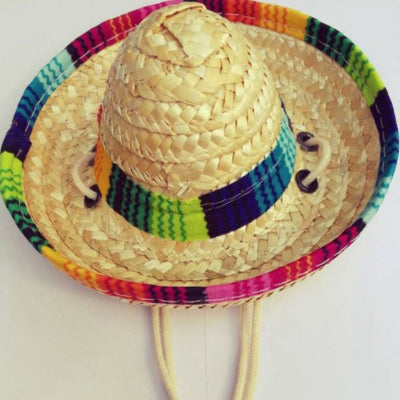 Small Dog Chihuahua Mexican Sombrero Hat Chihuahua Clothes and Accessories at My Chi and Me