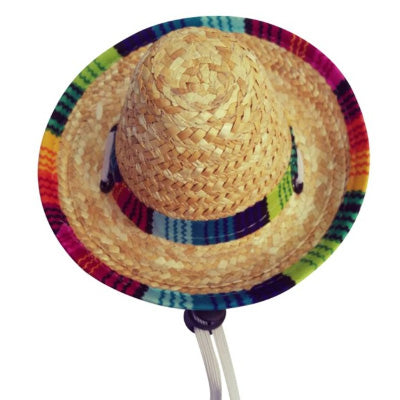 Small Dog Chihuahua Mexican Sombrero Hat Chihuahua Clothes and Accessories at My Chi and Me