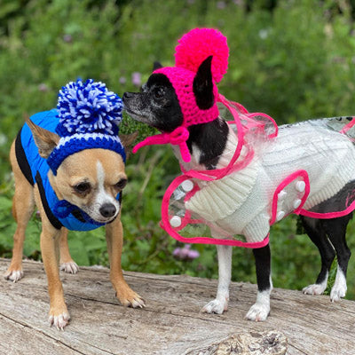 Water Resistant Padded Quilted Blue Dog Gilet Chihuahua Clothes and Accessories at My Chi and Me