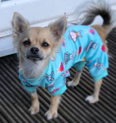 Small Dog Chihuahua Pyjamas Onesie Style Bunny Print Cotton Aqua Premium Quality - My Chi and Me