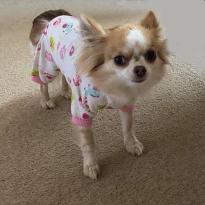 Chihuahua Small Dog Pyjamas Onesie Style Owls Horses Elephants Print Cotton Pink - My Chi and Me