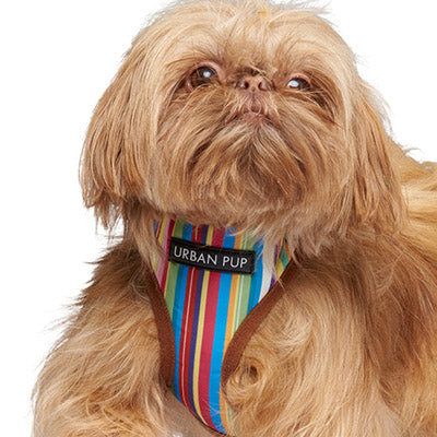 Henley Striped Tan Harness by Urban Pup - My Chi and Me