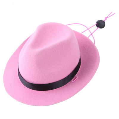 Pink Stetson Cowgirl Hat for Small Dog or Cat