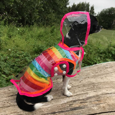 Pink Edged Waterproof Raincoat for Chihuahuas and Small Dogs - 3 SIZES Chihuahua Clothes and Accessories at My Chi and Me