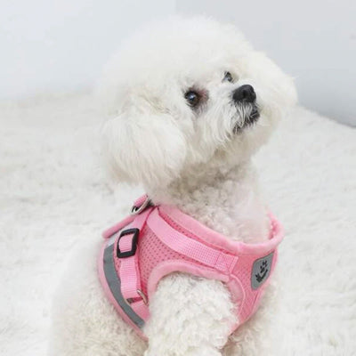 Small Dog Vest Harness and Lead Set Pink Mesh Reflective