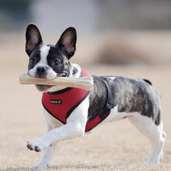 Puppia Soft Mesh Small Dog Harness A Red and Black 4 Sizes