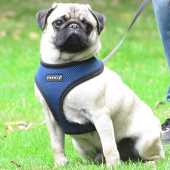 Puppia Soft Mesh Small Dog Harness A Royal Blue 4 Sizes