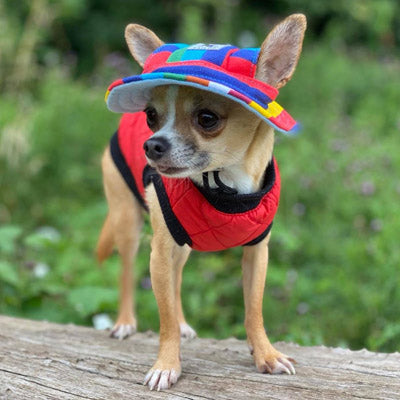 Rainbow Pride NHS Sun Hat for Chihuahua Small Dog or Puppy