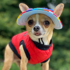 Water Resistant Padded Quilted Red Dog Gilet Chihuahua Clothes and Accessories at My Chi and Me