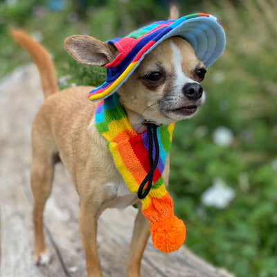 Water Resistant Padded Quilted Orange Dog Gilet Chihuahua Clothes and Accessories at My Chi and Me