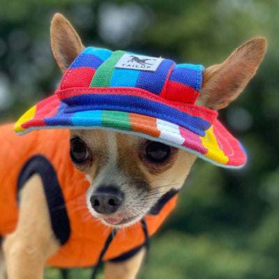 Rainbow Pride NHS Sun Hat for Chihuahua Small Dog or Puppy