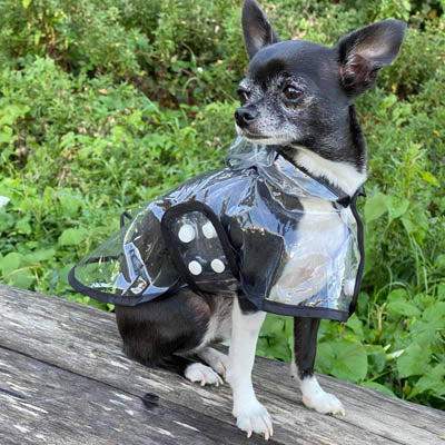 Black Edged Waterproof Raincoat for Chihuahuas and Small Dogs - 4 SIZES