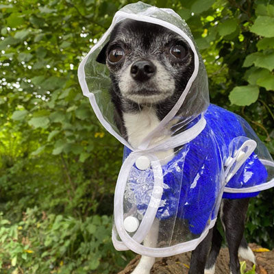 White Waterproof Raincoat for Chihuahuas and Small Dogs - 4 SIZES