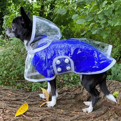 White Waterproof Raincoat for Chihuahuas and Small Dogs - 4 SIZES