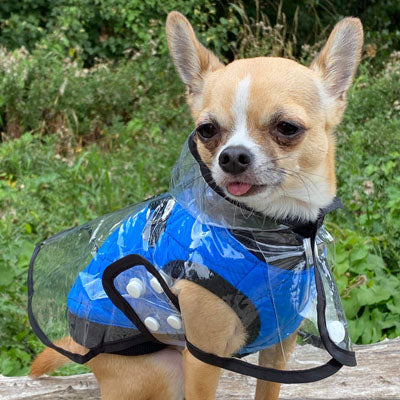 Water Resistant Padded Quilted Blue Dog Gilet