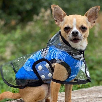 Water Resistant Padded Quilted Blue Dog Gilet