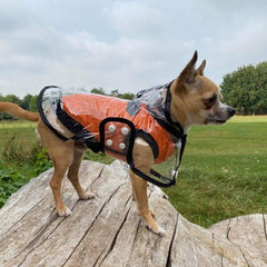 Black Edged Waterproof Raincoat for Chihuahuas and Small Dogs - 4 SIZES