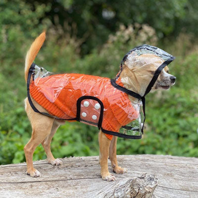 Waterproof Raincoat for Chihuahuas and Small Dogs Black Trim 5 Sizes