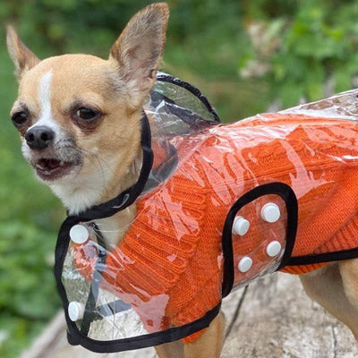 Black Edged Waterproof Raincoat for Chihuahuas and Small Dogs - 4 SIZES