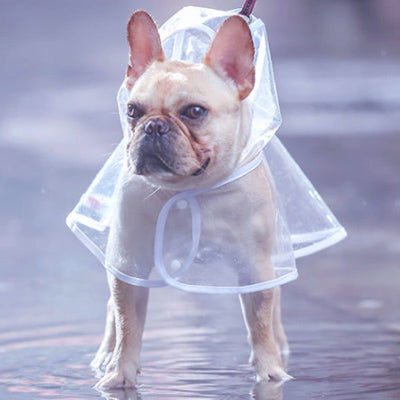 White Waterproof Raincoat for Chihuahuas and Small Dogs - 4 SIZES