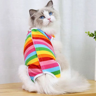 Surgery Suits for Small Dogs Post Surgery Wound Protection Rainbow
