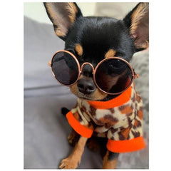 Small Dog Sunglasses Chihuahuas Shades 8 COLOURS - My Chi and Me