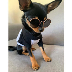 Small Dog Sunglasses Chihuahuas Shades 8 COLOURS - My Chi and Me