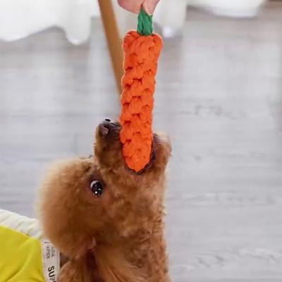 Super Strong Carrot Rope Chew and Throw Dog Toy