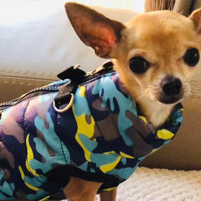 Premium Marine Camouflage Water Resistant Padded Gilet Style Dog Coat Chihuahua Clothes and Accessories at My Chi and Me
