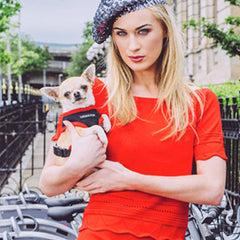 Active Mesh Black and Red Harness by Urban Pup