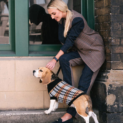 Urban Pup Chihuahua or Small Dog Autumn Check Jumper Caramel and Black