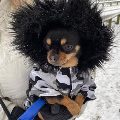Urban Pup Small Dog Coat Urban Camouflage Fishtail Parka
