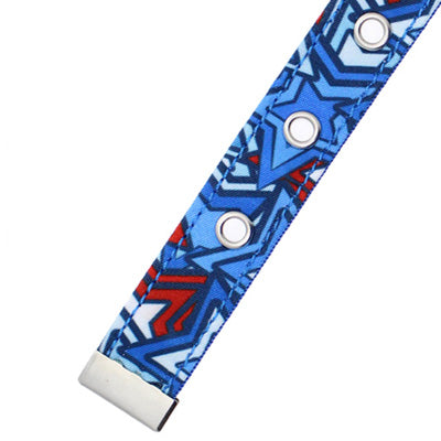Hero Star Blue Dog Collar by Urban Pup
