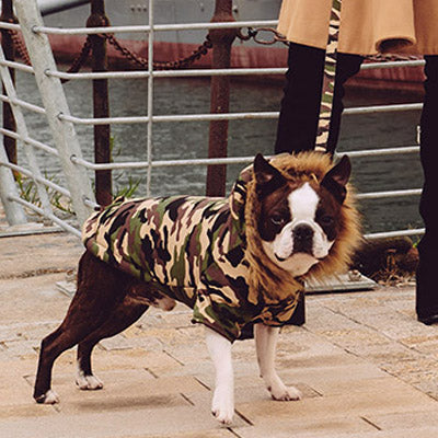 Urban Pup Chihuahua Puppy Chihuahua or Small Dog Green Camouflage Padded Fishtail Parka Style Coat Chihuahua Clothes and Accessories at My Chi and Me