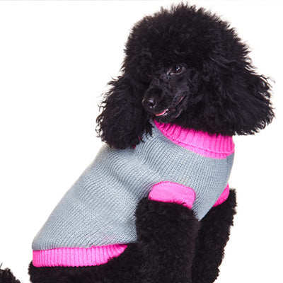 Urban Pup Chihuahua Small Dog Fuchsia Pink and Grey Paw Jumper