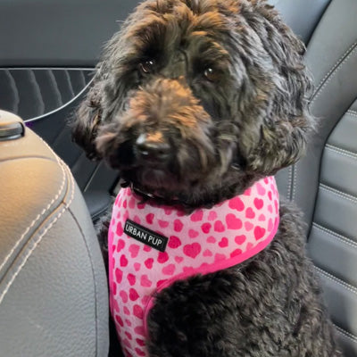 Urban Pup Pink Hearts Harness