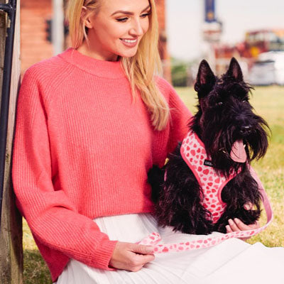 Pink Hearts Harness by Urban Pup
