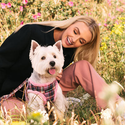 Urban Pup Faux Fur Lined Highlands Dog Vest Harness Heather and Bracken