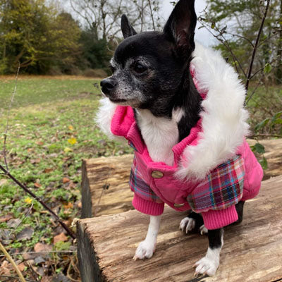 Urban Pup Lady Tartan Pink Coat with Heather and Bracken Tartan Trim
