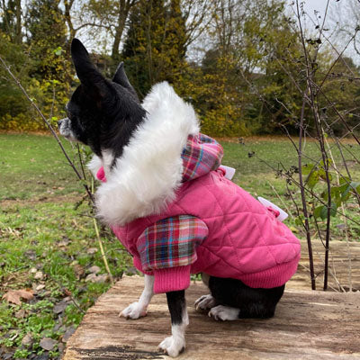 Urban Pup Lady Tartan Pink Coat with Heather and Bracken Tartan Trim