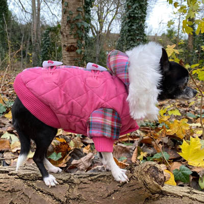 Urban Pup Lady Tartan Pink Coat with Heather and Bracken Tartan Trim